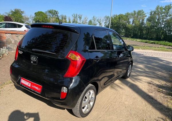 Kia Picanto cena 19999 przebieg: 171000, rok produkcji 2014 z Maków Podhalański małe 352